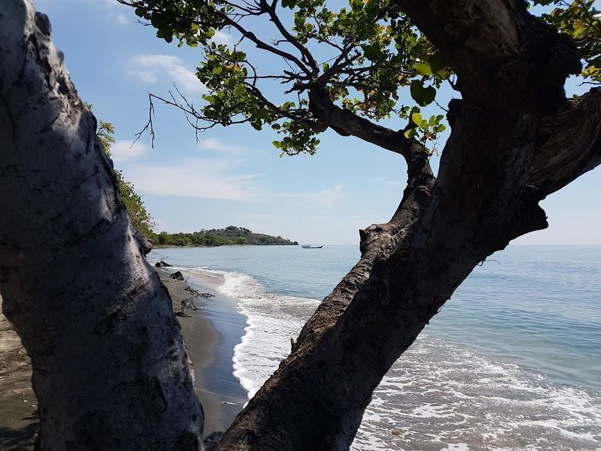 Taman Dewi Sri Villa Et Bungalow Pemuteran Exteriér fotografie